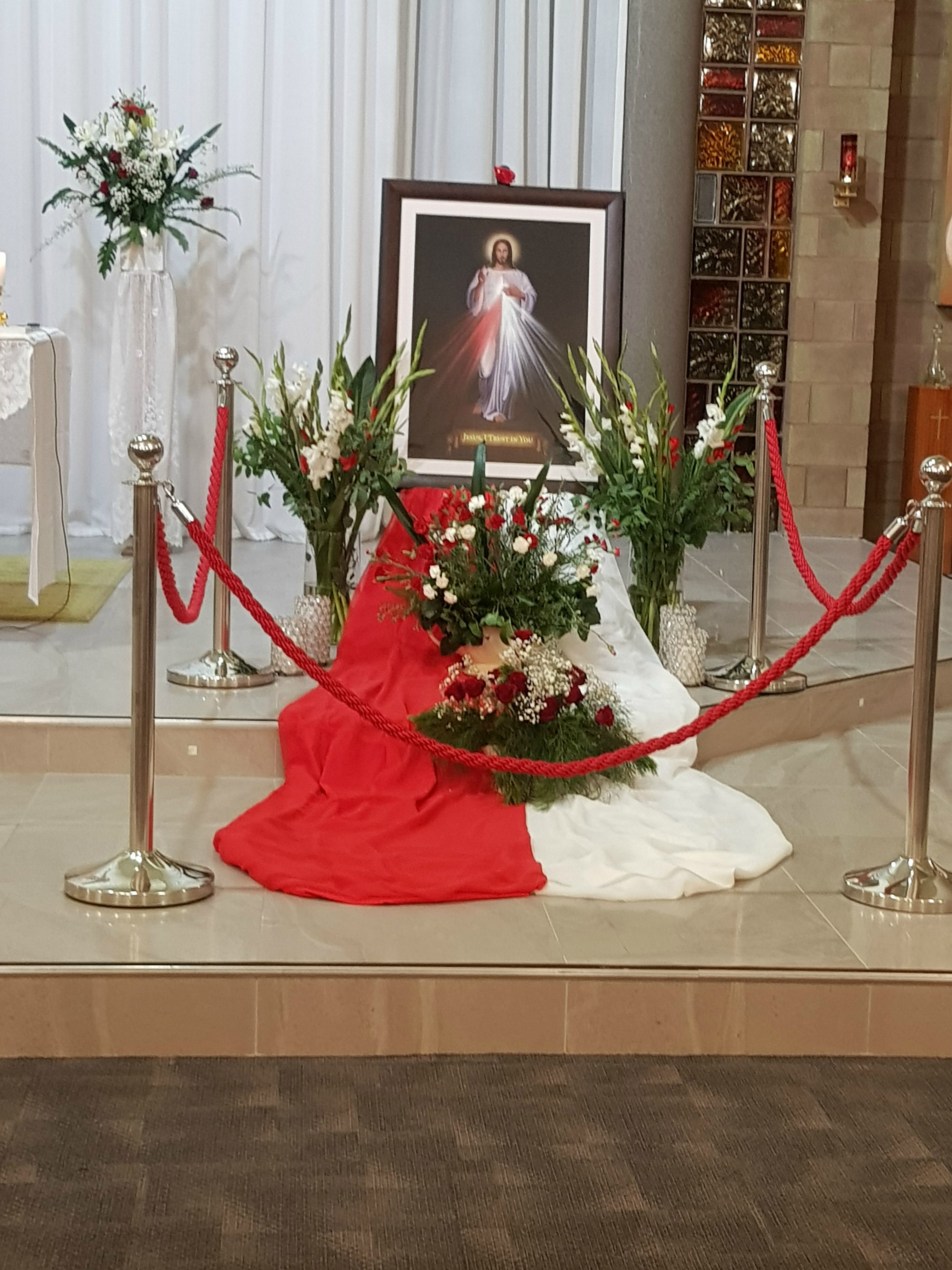 Divine Mercy Sunday 23 April - Photo 8