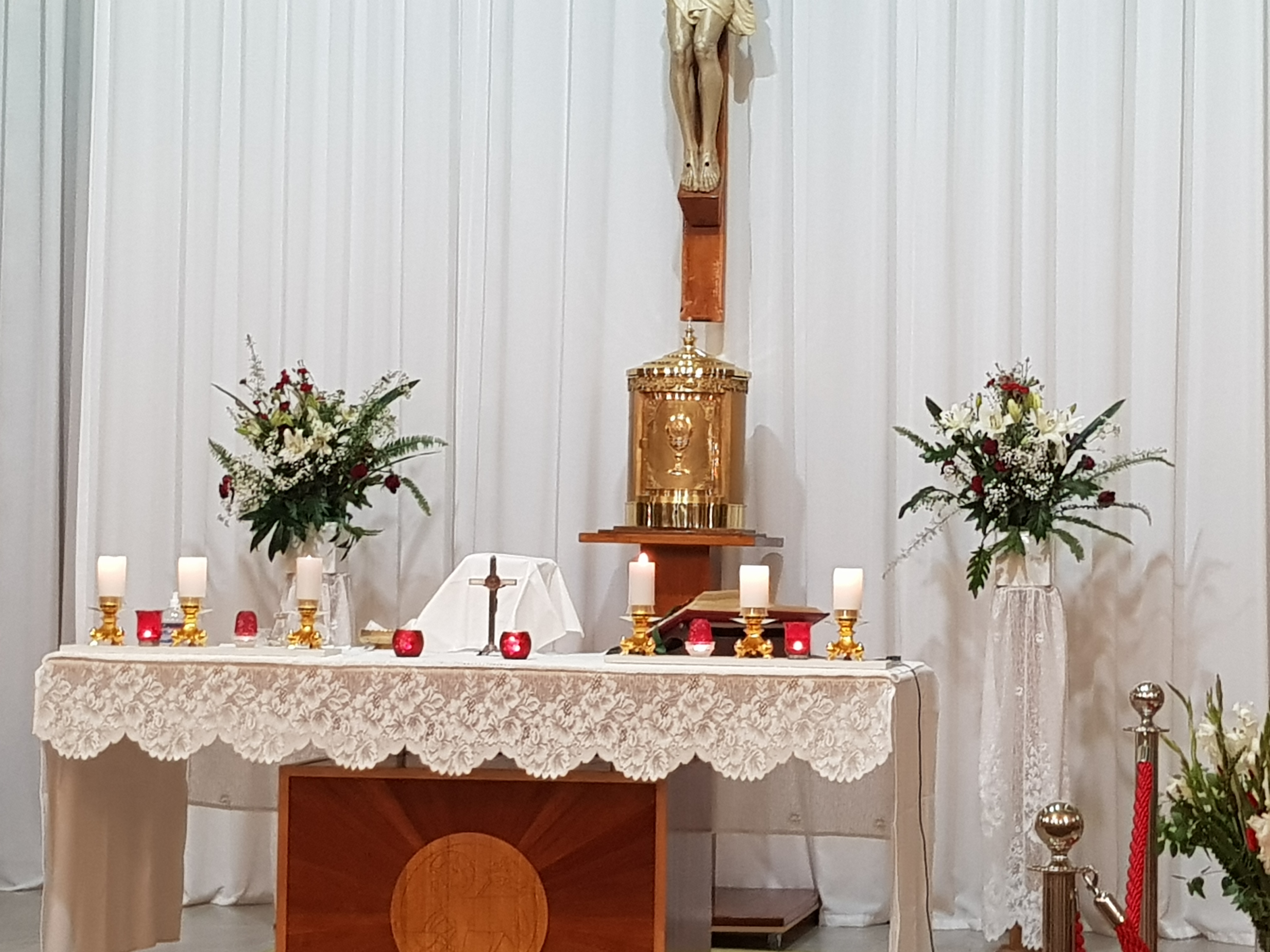 Divine Mercy Sunday 23 April - Photo 7