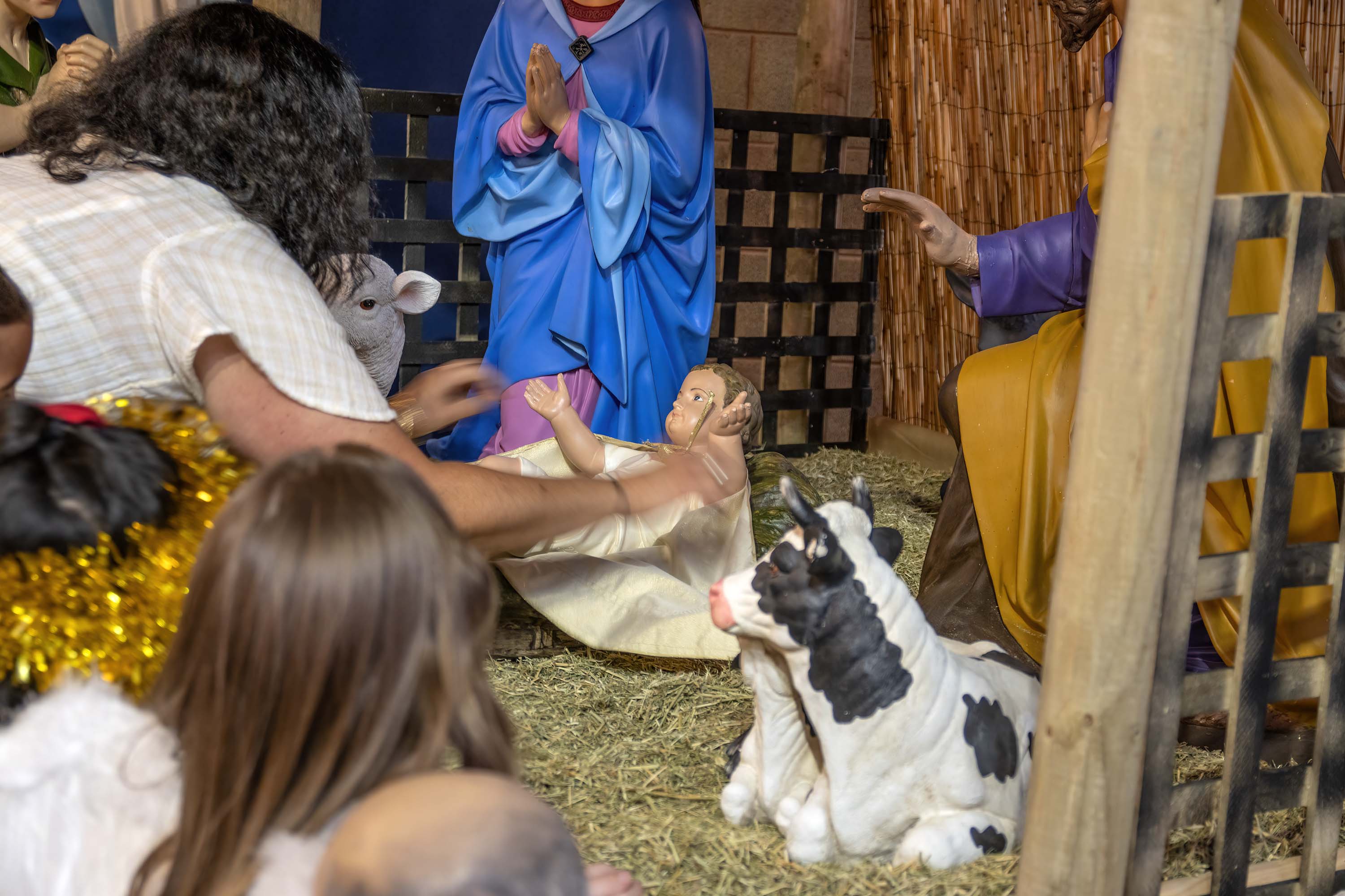 Christmas Family Mass 24 December - Photo 38