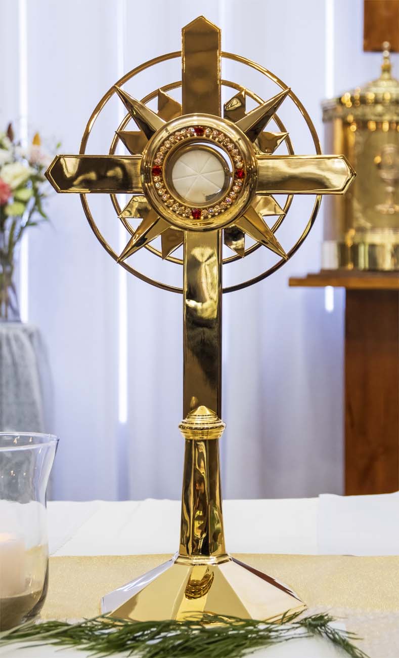 St John Bosco Relic Centenary Tour 10 11 August - Photo 115