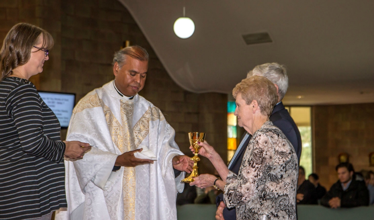 Pat & Alf Norman S Golden Anniversary - Photo 43