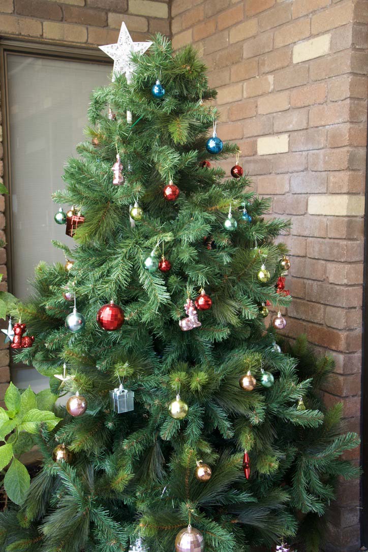 Christmas Family Mass 24 Dec - Photo 33