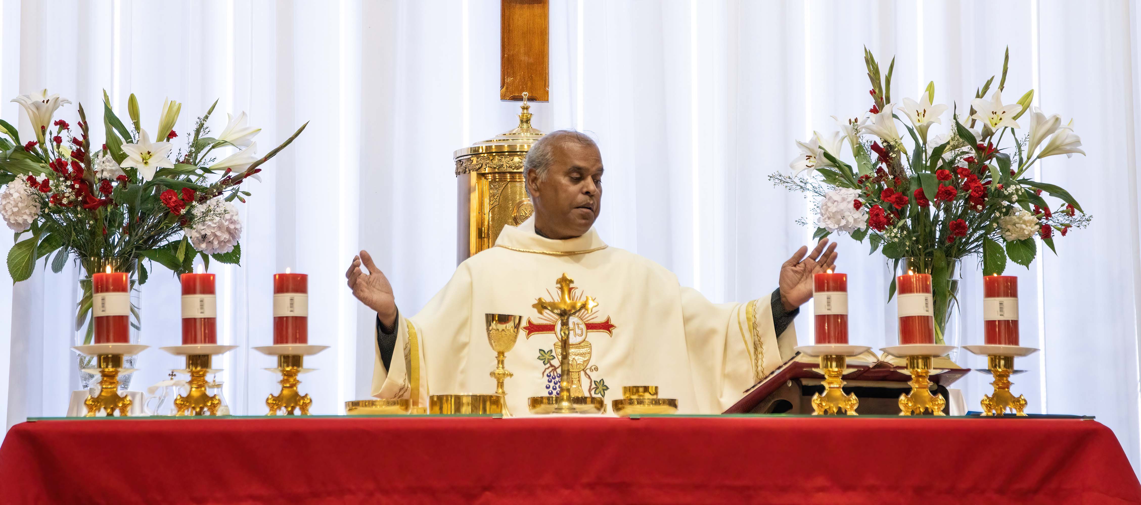 Christmas Family Mass 24 December - Photo 13