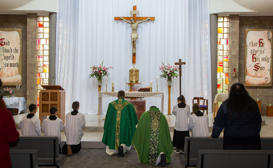 St Luke S Day 22 Oct - Photo 24