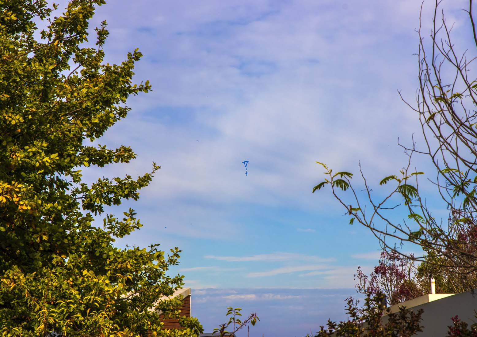 Living Rosary 2 May - Photo 9